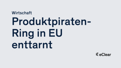 Produktpiraten Ring in EU enttarnt