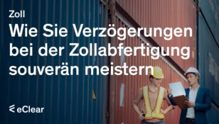 Wie Sie Verzögerungen bei der Zollabfertigung souverän meistern